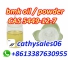 BMK Glycidic Acid (sodium salt) CAS 20320-59-6 for Sale wickr :cathysales06