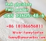 WhatsApp +8618186656811 CAS 13605-48-6 Pmk glycidate PMK powder