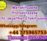 buy Bromazolam 71368-80-4 Flubrotizolam alprazolam powder for xanax maken