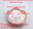 BMK Glycidic Acid 99% powder CAS 5449-12-7 china supplier