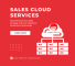 Salesforce Sales Cloud Implementation, Customization Services: InfoDrive Solutions