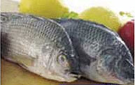 Ikan Lohu - Fresh & Prepared Fish