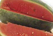 Black Beauty Melon - Fruits