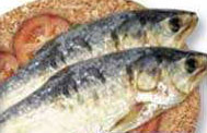 Terubok - Fresh & Prepared Fish