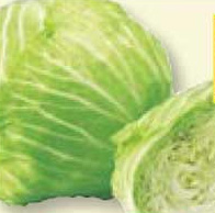 Round Cabbage / Kubis Bulat - Vegetables