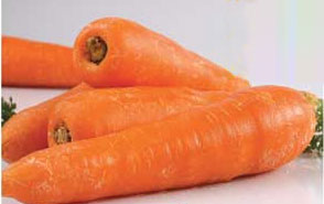 Carrot - Vegetables