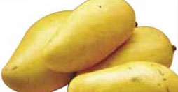 Chokanan Mango - Fruits