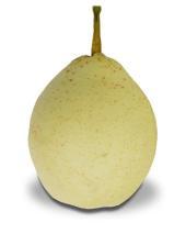 Ya Pear - Fruits