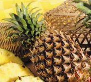 Josapine Pineapple - Fruits