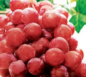Red Globe Grape - Fruits