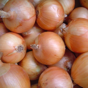 Bawang Kuning / Yellow Onion - Herbs & Spices